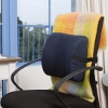 Original Lumbar Support Cushion