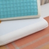 Gel-Tec Memory Foam Pillow