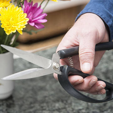 Kitchen Shears