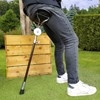 Promenade Seat Stick - with interchangeable ferrules