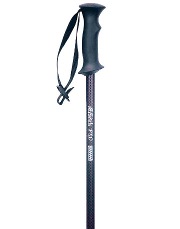 Trekking Pole with Shock Absorber