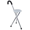 Folding Seat Cane