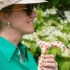 Fashion Folding Derby Walking Stick, Strawberries and Cream