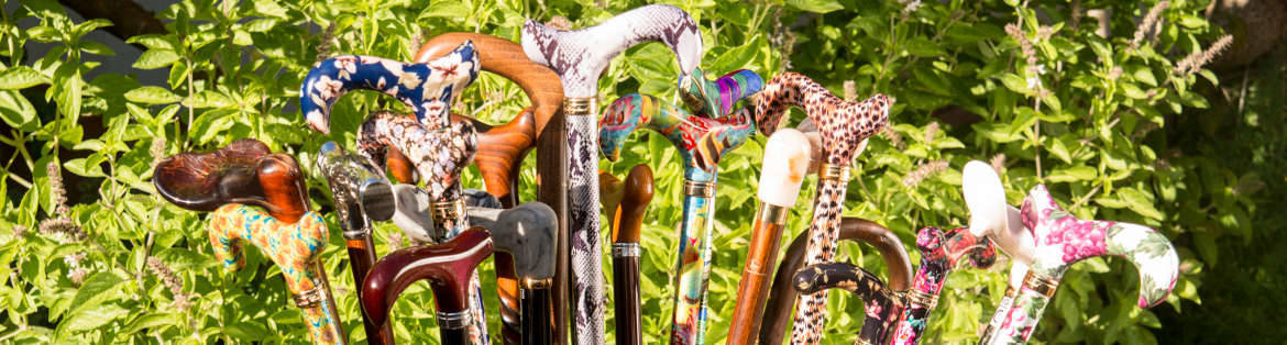 Walking Sticks