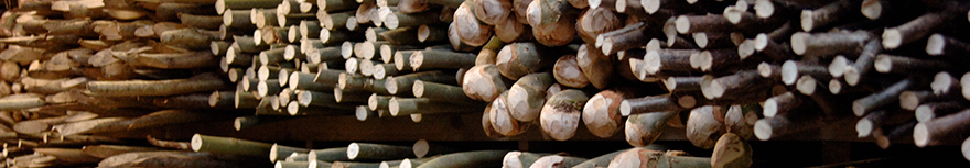 Wooden Walking Sticks